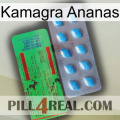 Kamagra Pineapple new03